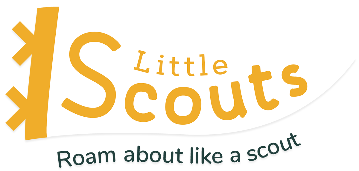 Little-Scouts-Project-Logo